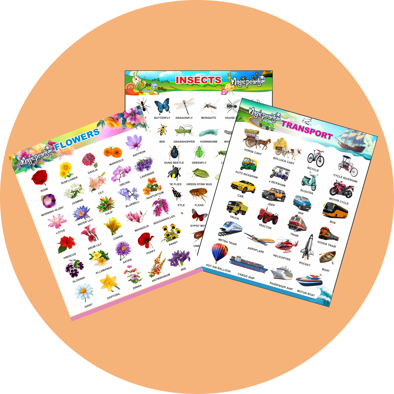 Educational Posters